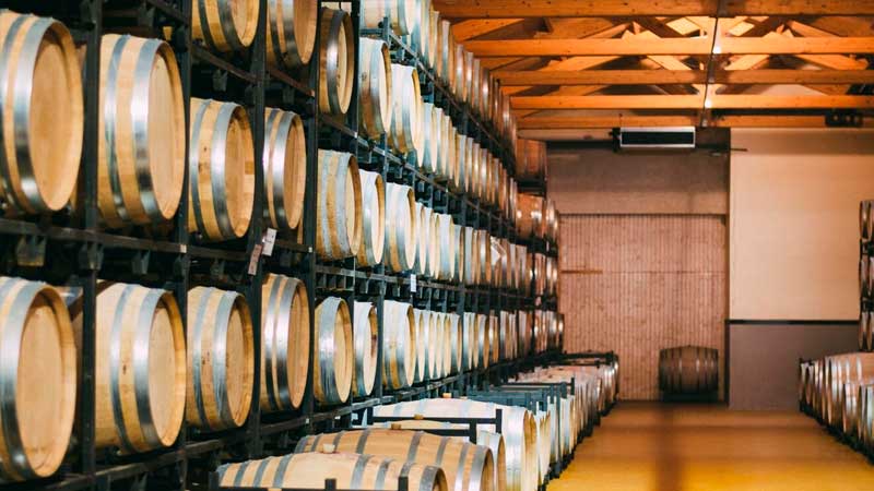 bodegas